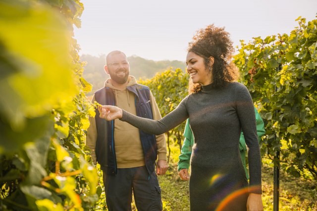 Raznovrsni svet ukusa: Nemačka lokalna kultura